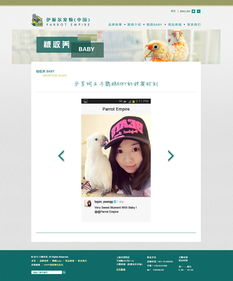 寵物用品網站設計 打造貼心便捷的在線購物體驗