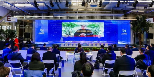 京津冀運(yùn)河文化旅游城市合作組織 以文化藝術(shù)交流為紐帶，共繪協(xié)同發(fā)展新畫卷